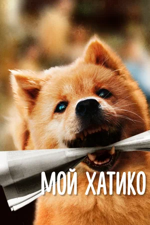 Постер: Мой Хатико